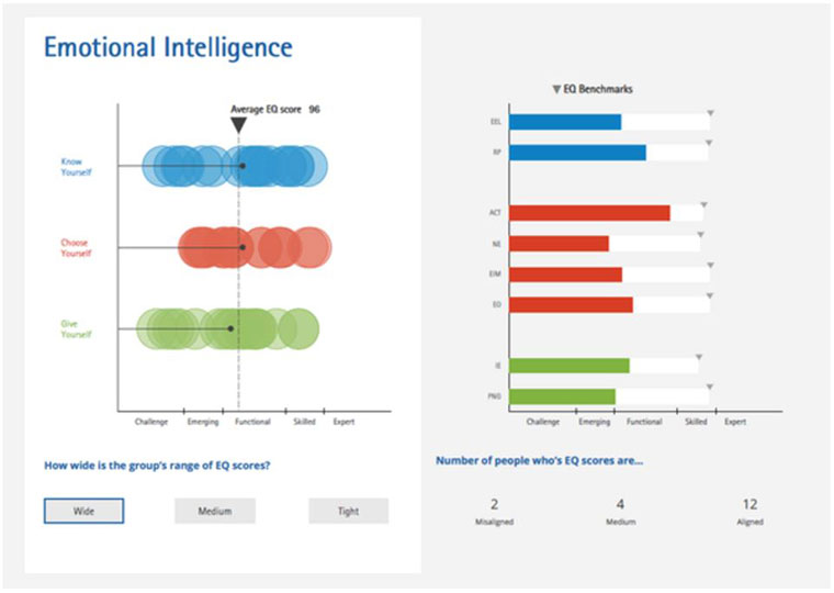 Six Seconds, Emotional Quotient