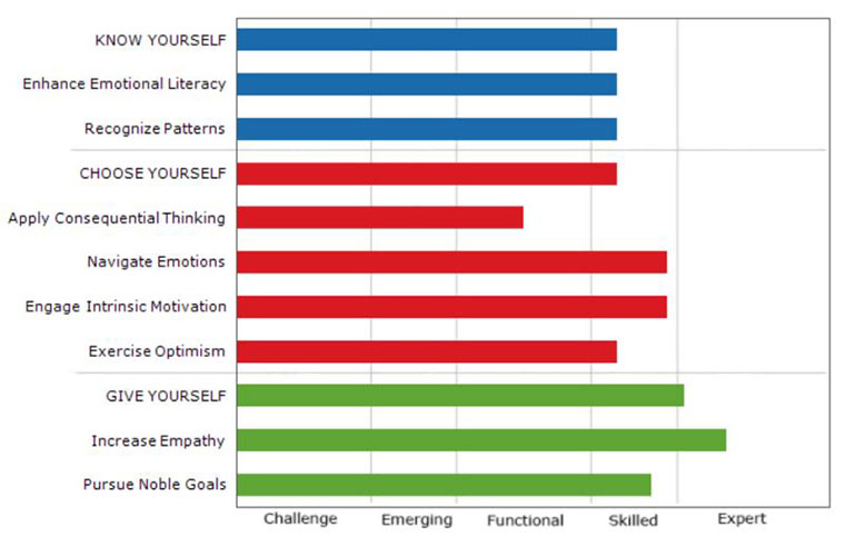 SEI Assessment, Emotional Intelligence