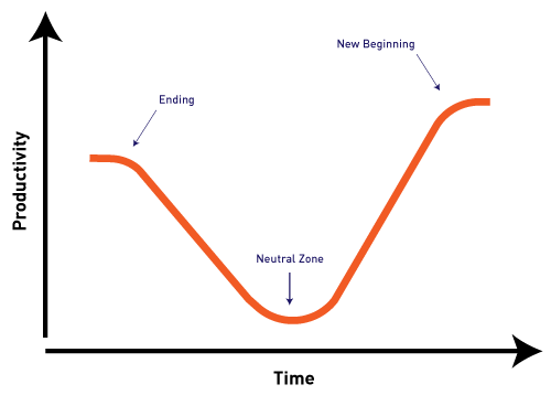 productivity during transition